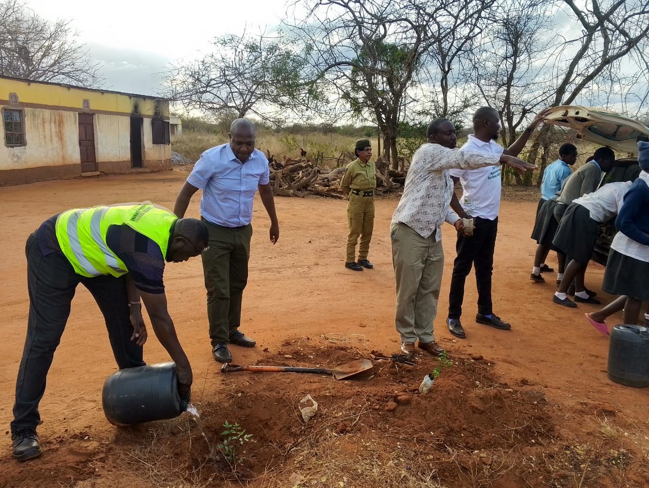 Successful community reforestation effort