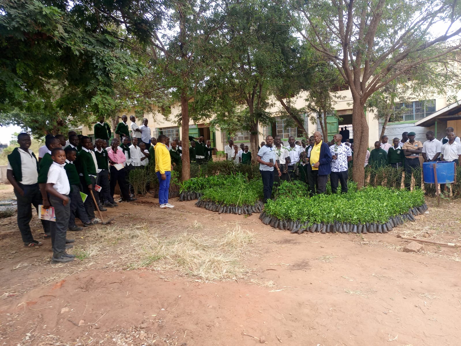 Active youth participation in climate action