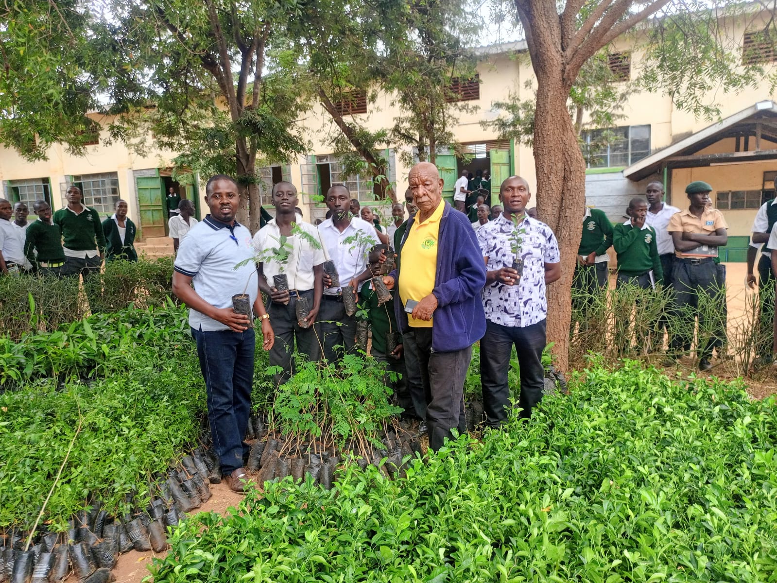 Successful community reforestation effort
